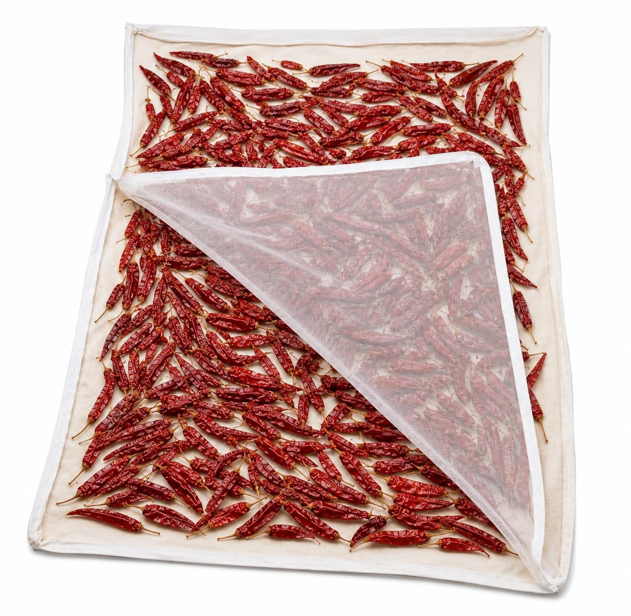 ZEN HOME Multi Purpose Drying Cloth with Protective Net Cover | 100% Cotton for Vadagam, Vathal, Appalam, Millets, Rice & Spices | Dust & Bird Protection | Reusable Washable Drying Mat | 75 x 100 cm | Unbleached Cotton drying cloth with net cover